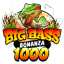 big-bass-bonanza-1000.gr favicon